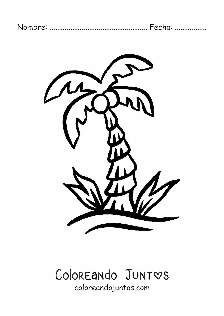 Imagen para colorear de una palmera con cocos
