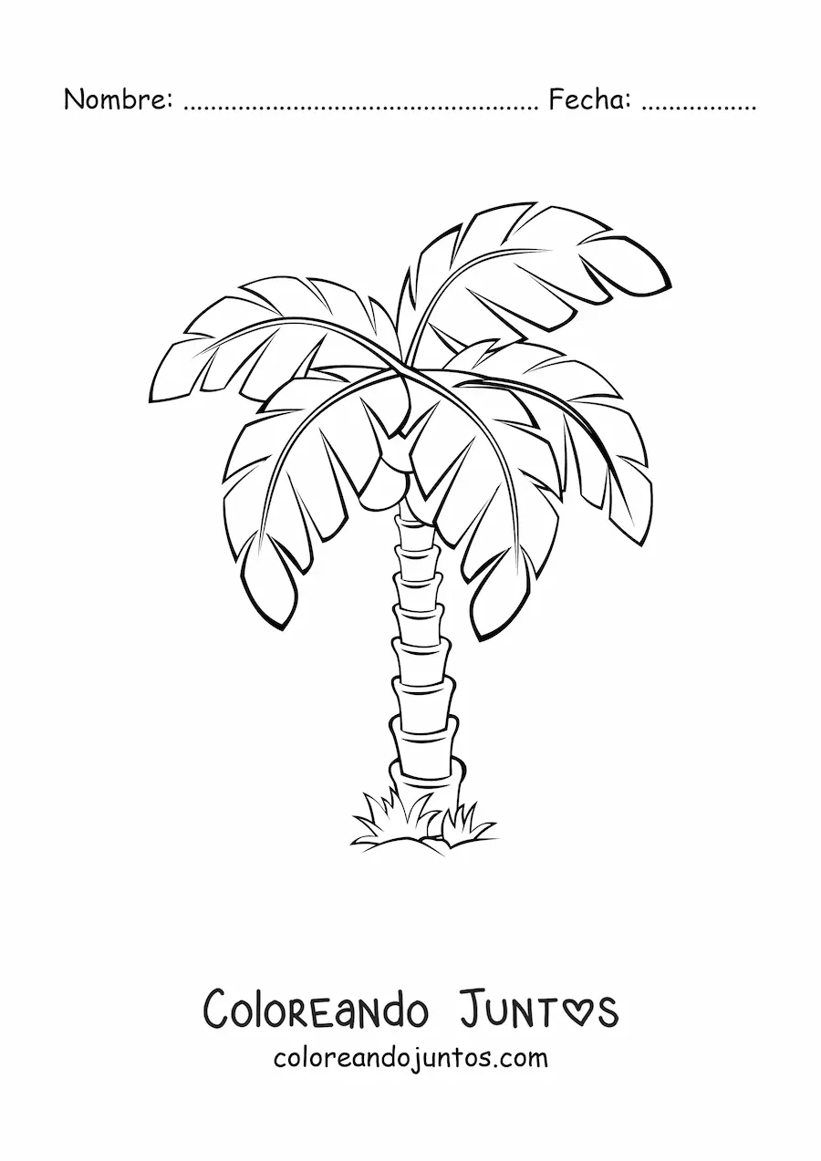Imagen para colorear de una palmera sencilla