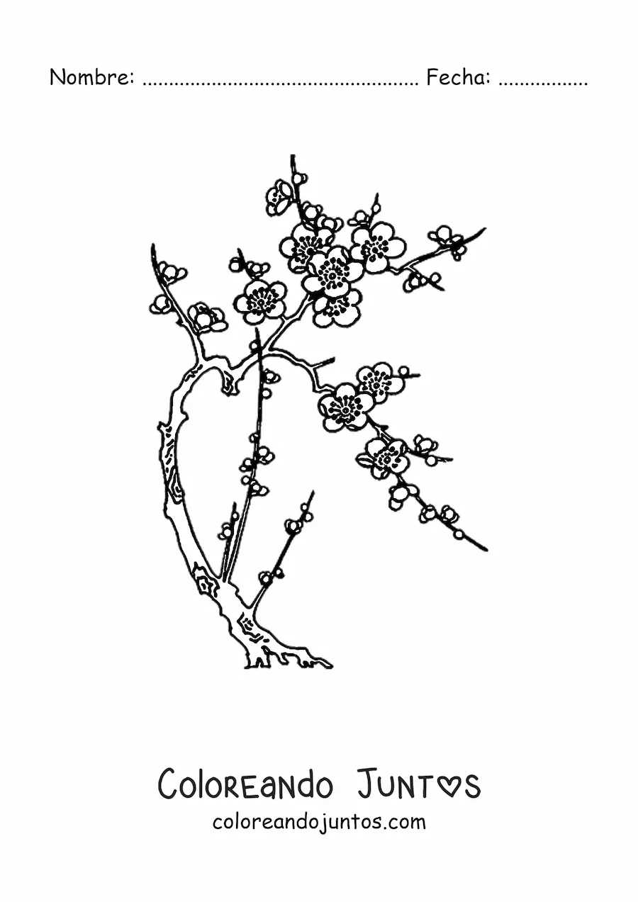 Imagen para colorear de un cerezo con flores
