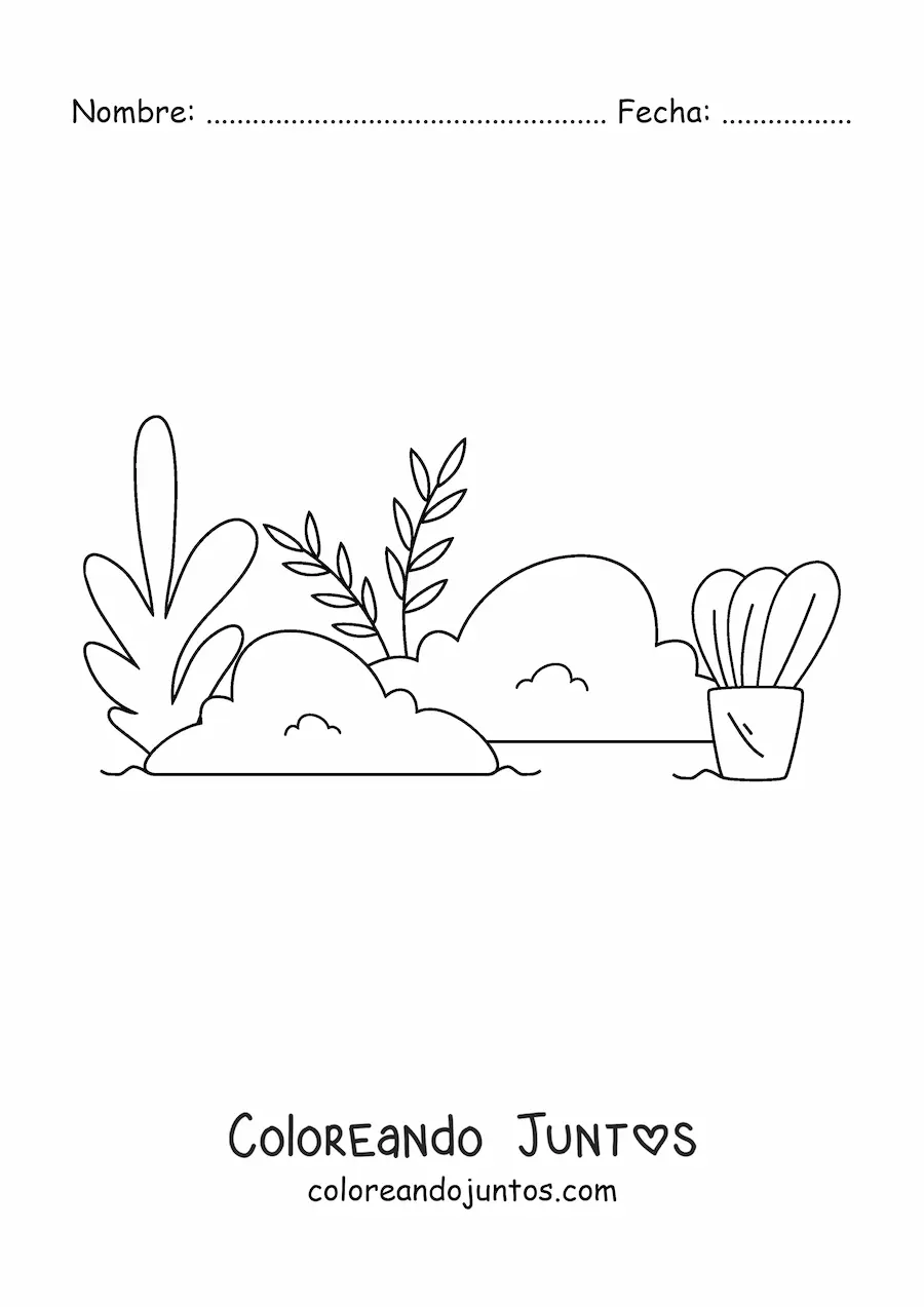 Imagen para colorear de varios arbustos y hierbas