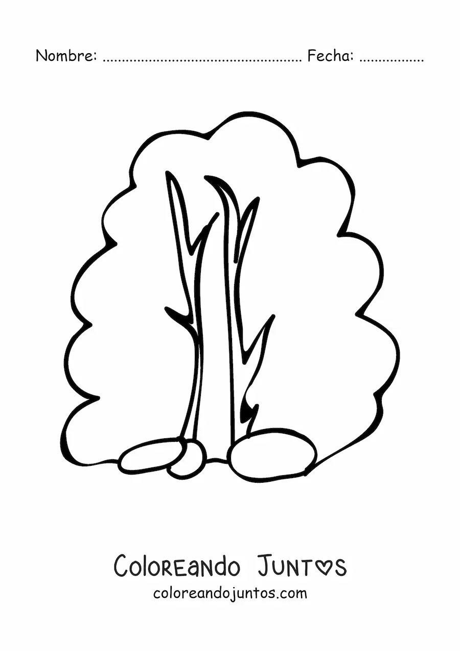 Imagen para colorear de un arbusto grande