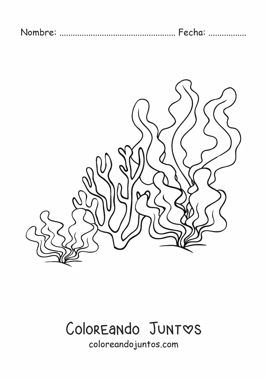 Imagen para colorear de unas algas y un coral