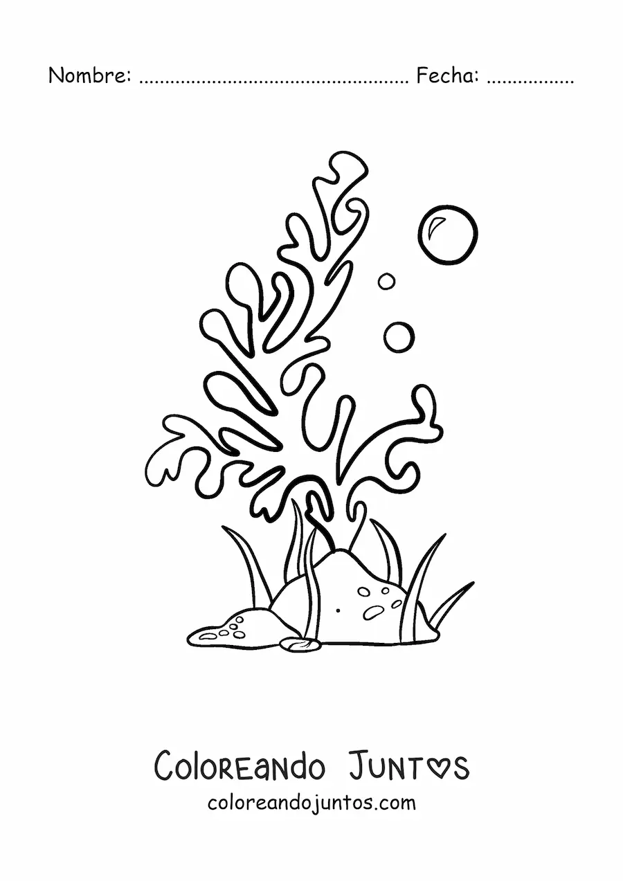 Imagen para colorear de un alga de mar con dos burbujas junto a una roca