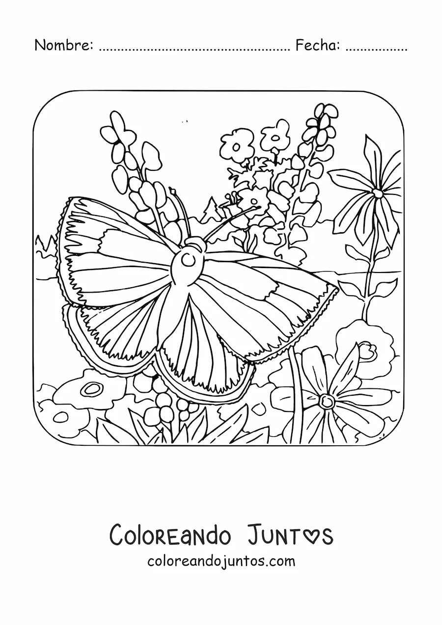 Imagen para colorear de una mariposa posándose entre flores