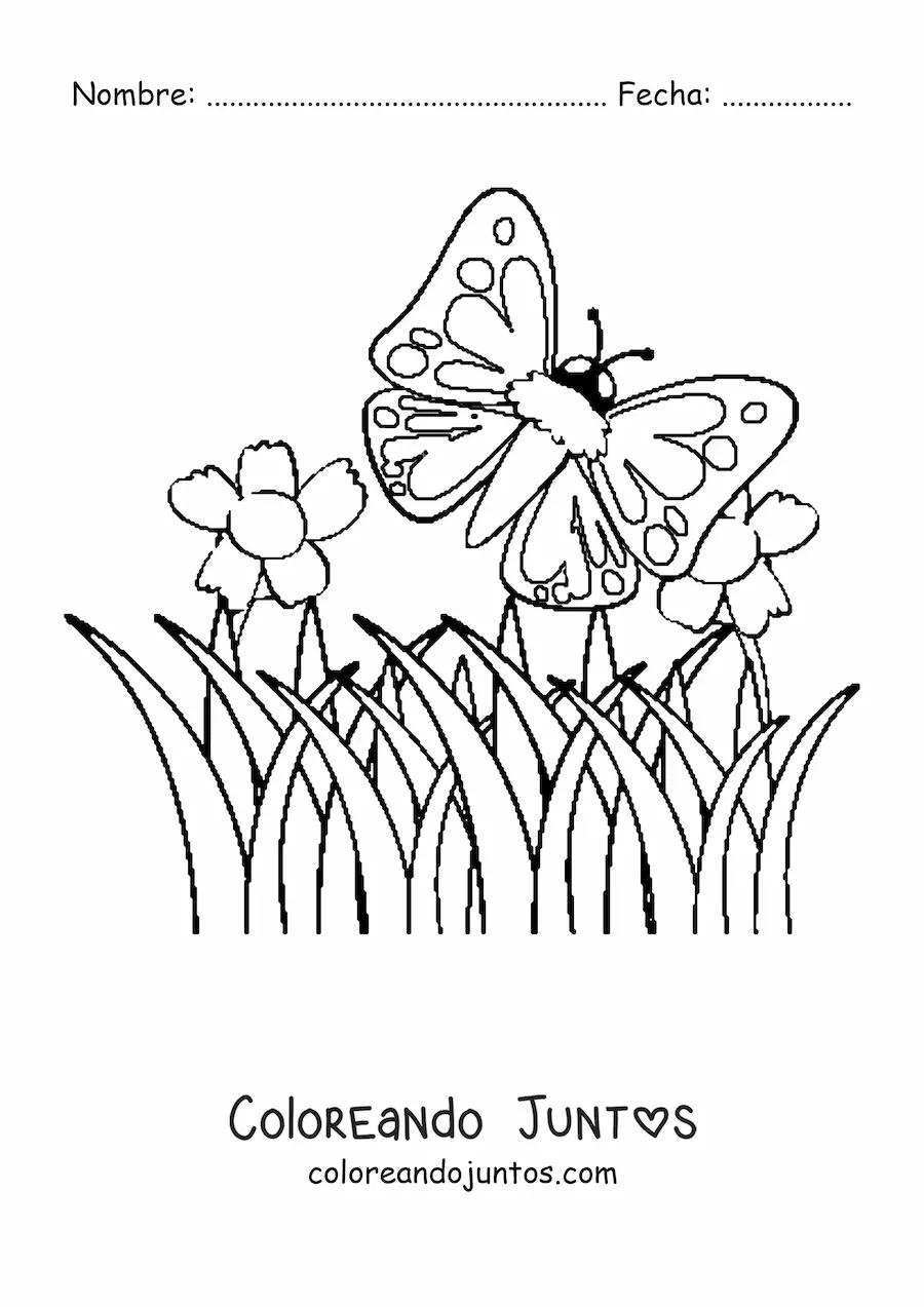 Imagen para colorear de una mariposa volando sobre flores en un campo