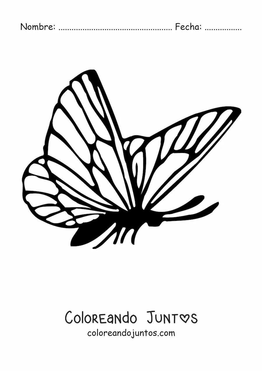 Imagen para colorear de una mariposa de perfil
