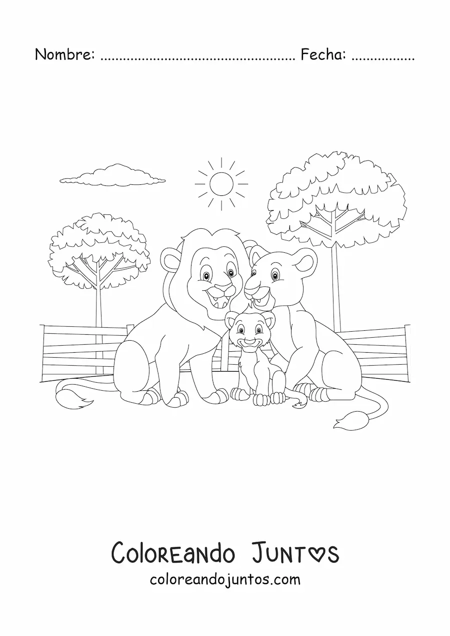Imagen para colorear de una familia de leones con un león bebé sonriendo en el zoológico