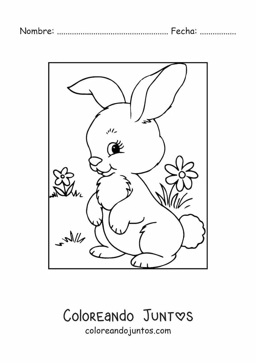 Imagen para colorear de un conejito tierno en una pradera con flores