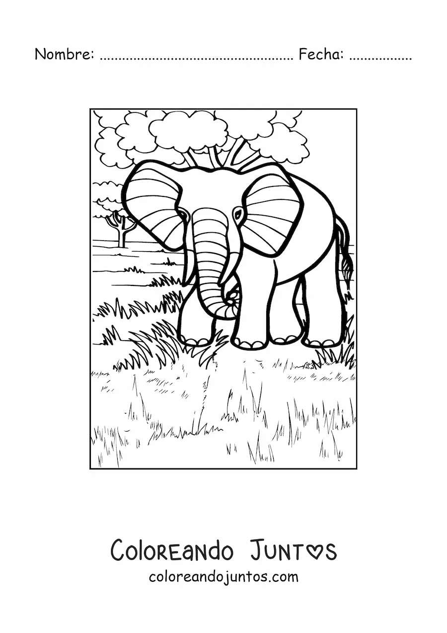 Imagen para colorear de un elefante posando en su hábitat natural