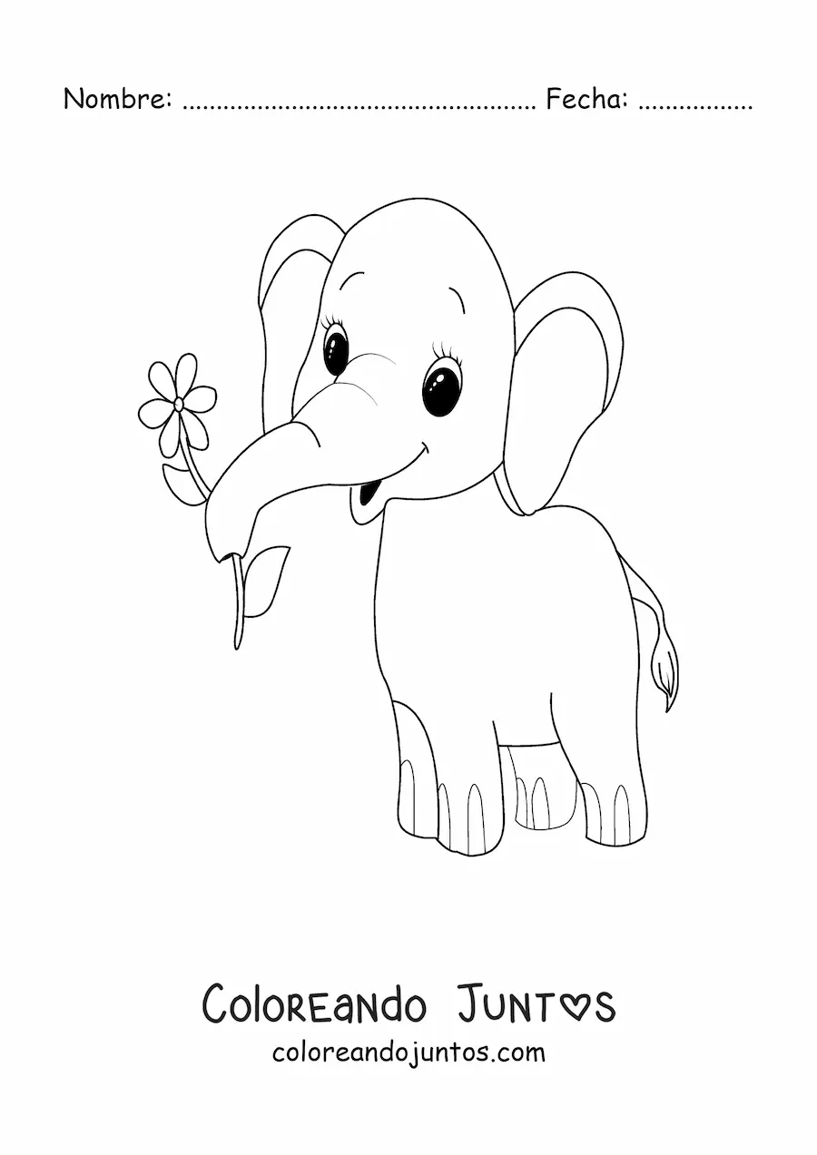 Imagen para colorear de un elefante bebé tierno sujetando una flor con su trompa
