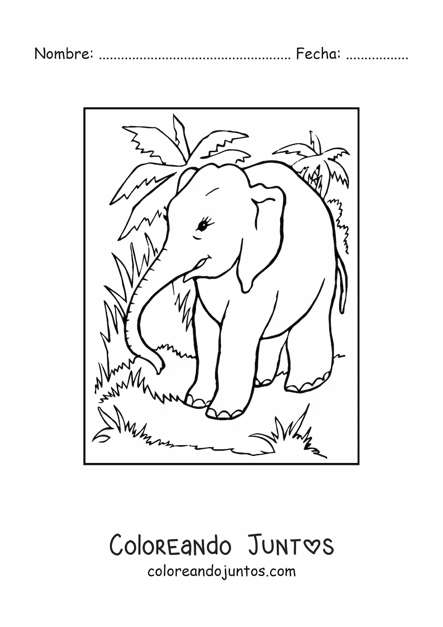 Imagen para colorear de un elefante deambulando en la selva