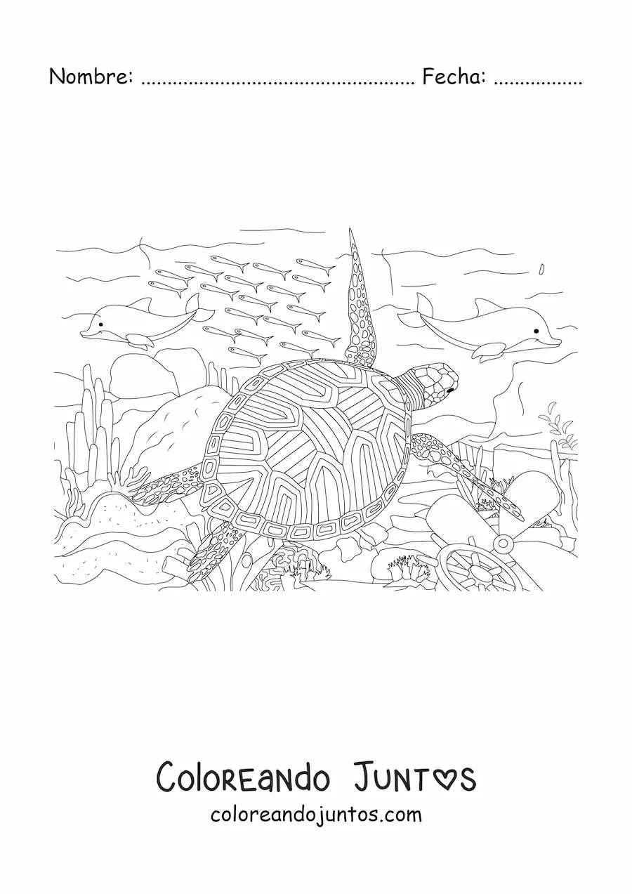 Imagen para colorear de una tortuga marina realista nadando con peces en el fondo del mar