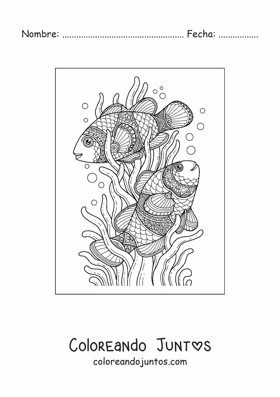 Imagen para colorear de dos peces nadando entre algas marinas