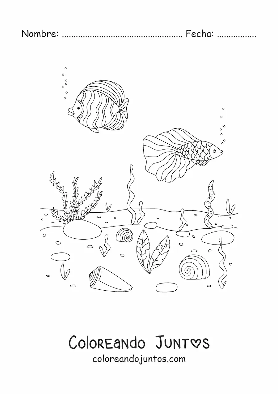 Imagen para colorear de dos peces en el fondo del mar con corales y algas marinas
