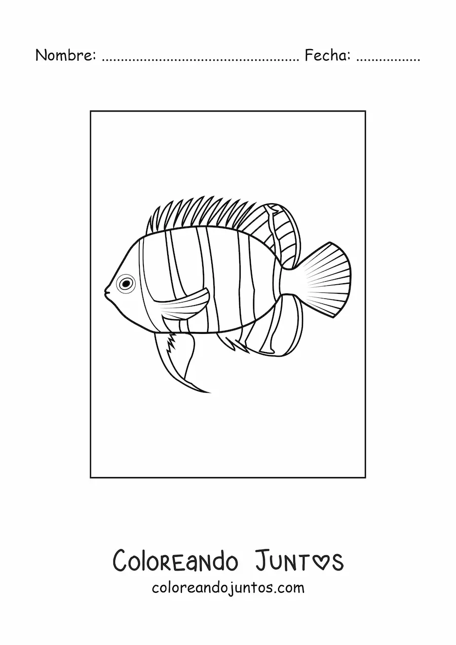 Imagen para colorear de un pez con líneas verticales en el cuerpo