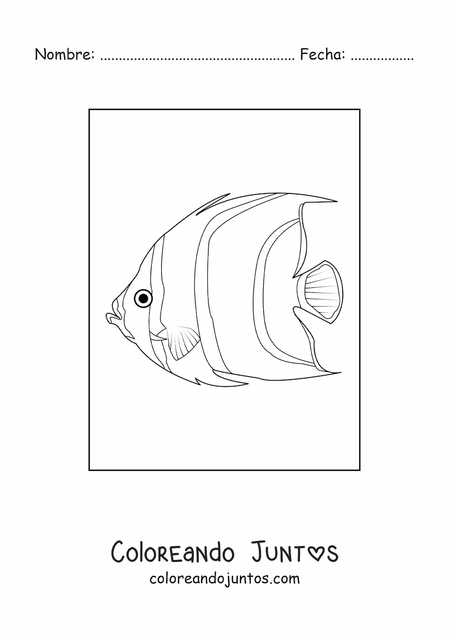 Imagen para colorear de un pez ángel realista