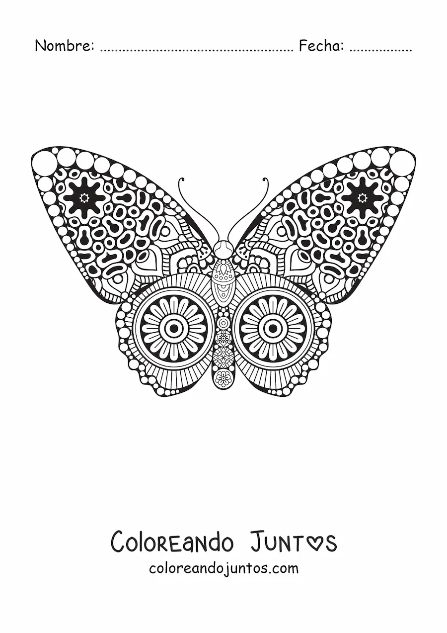 Imagen para colorear de un mandala con diseño de mariposa