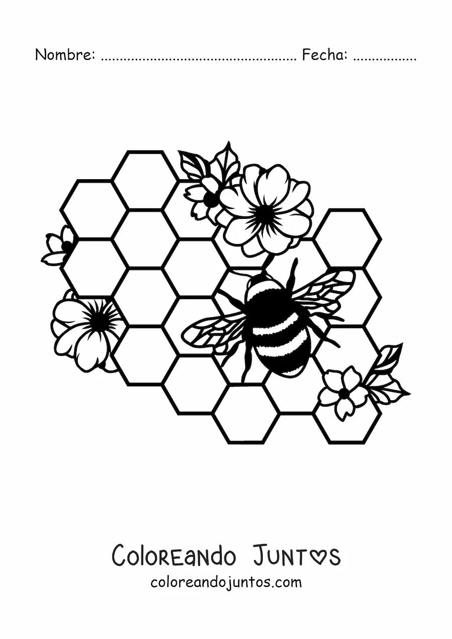 Imagen para colorear de una abeja volando sobre las celdas de un panal con flores
