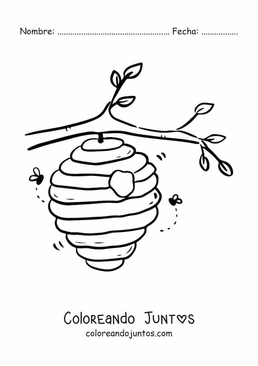 Imagen para colorear de un panal de abejas colgado en una rama