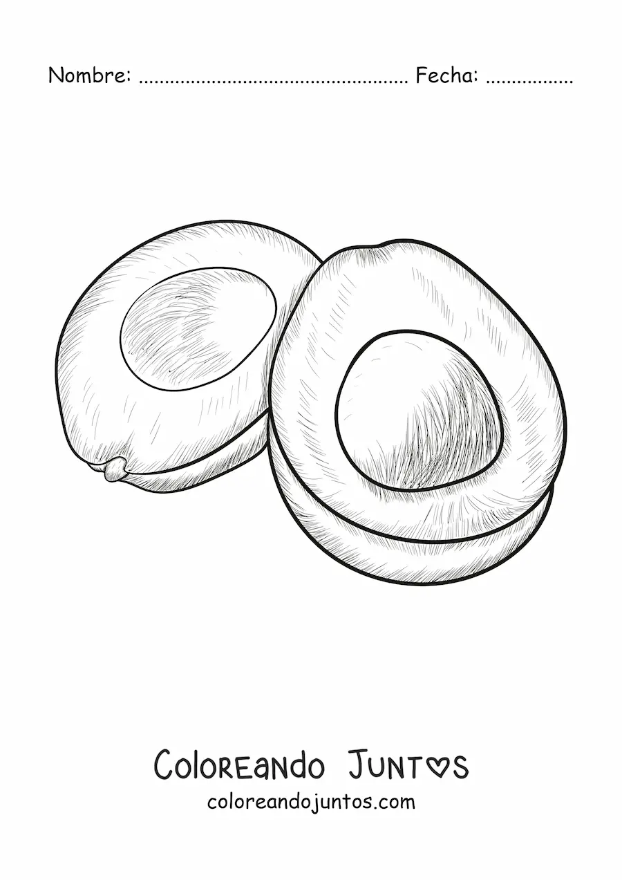 Imagen para colorear de un aguacate dibujado con estilo realista