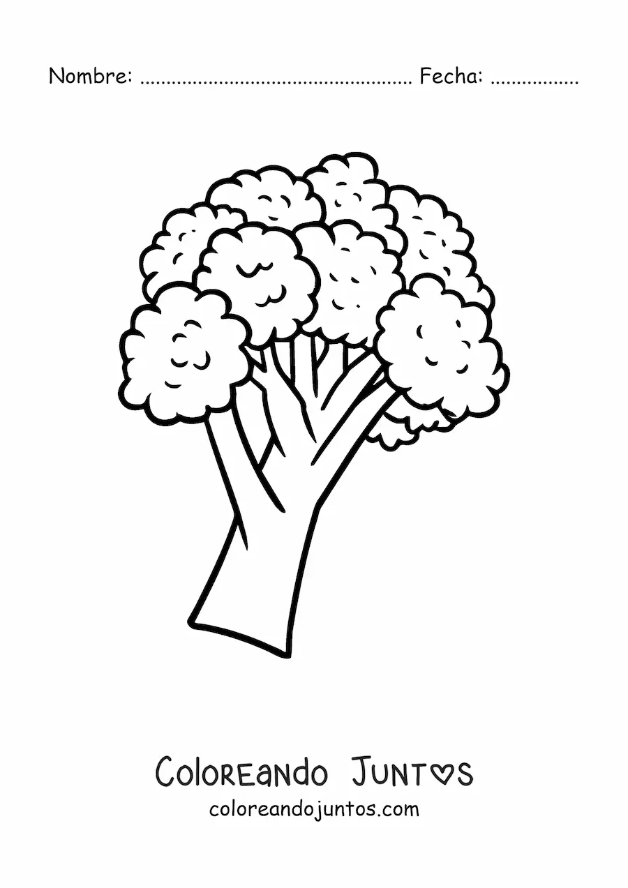 Imagen para colorear de un brócoli