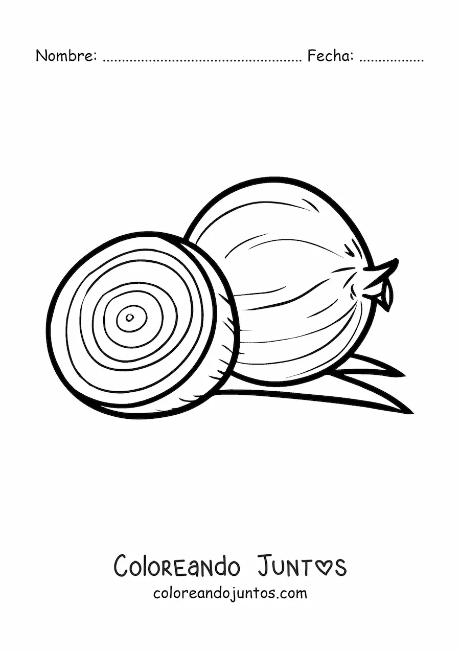 Imagen para colorear de una cebolla y la mitad de otra