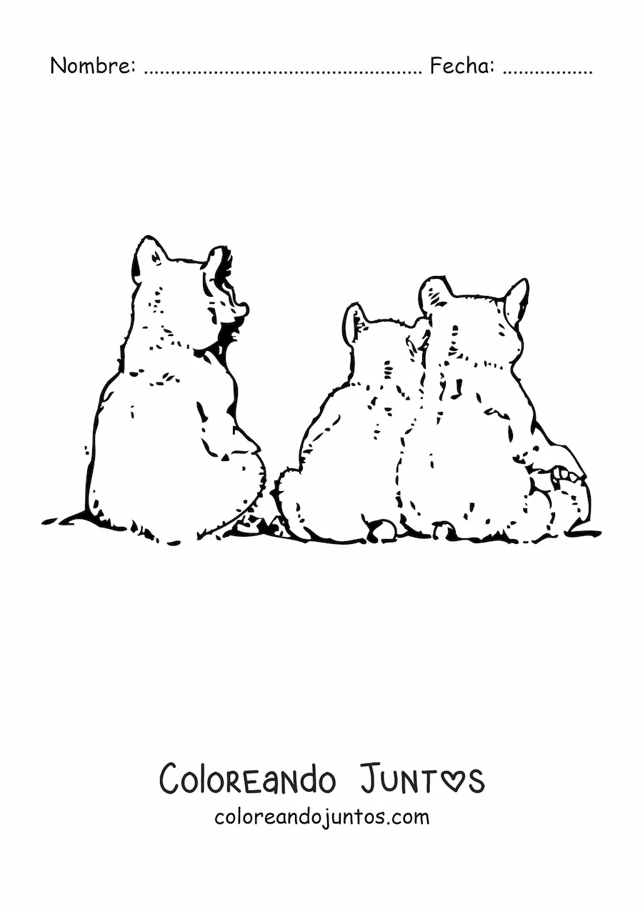 Imagen para colorear de una familia de osos bebés sentados de espalda