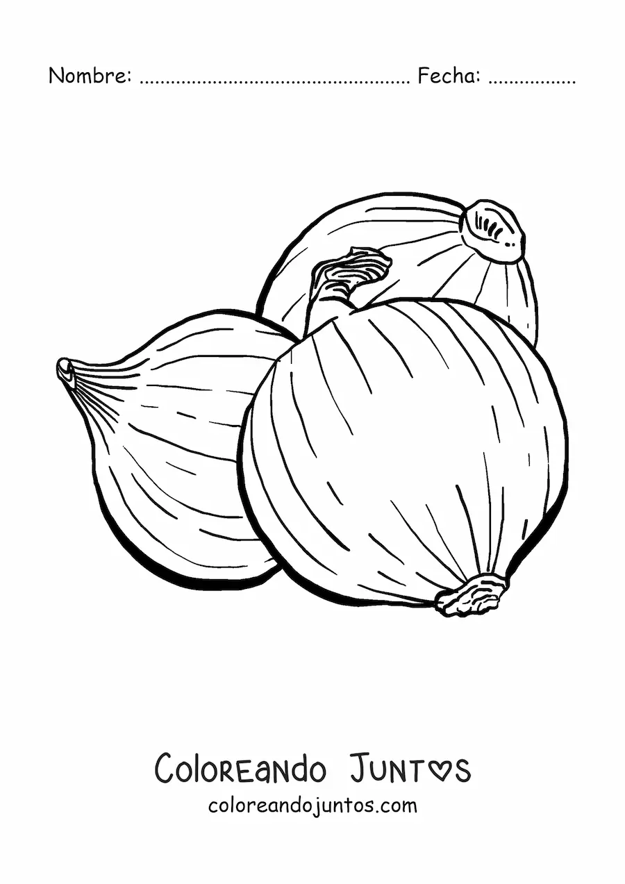 Imagen para colorear de 3 cebollas