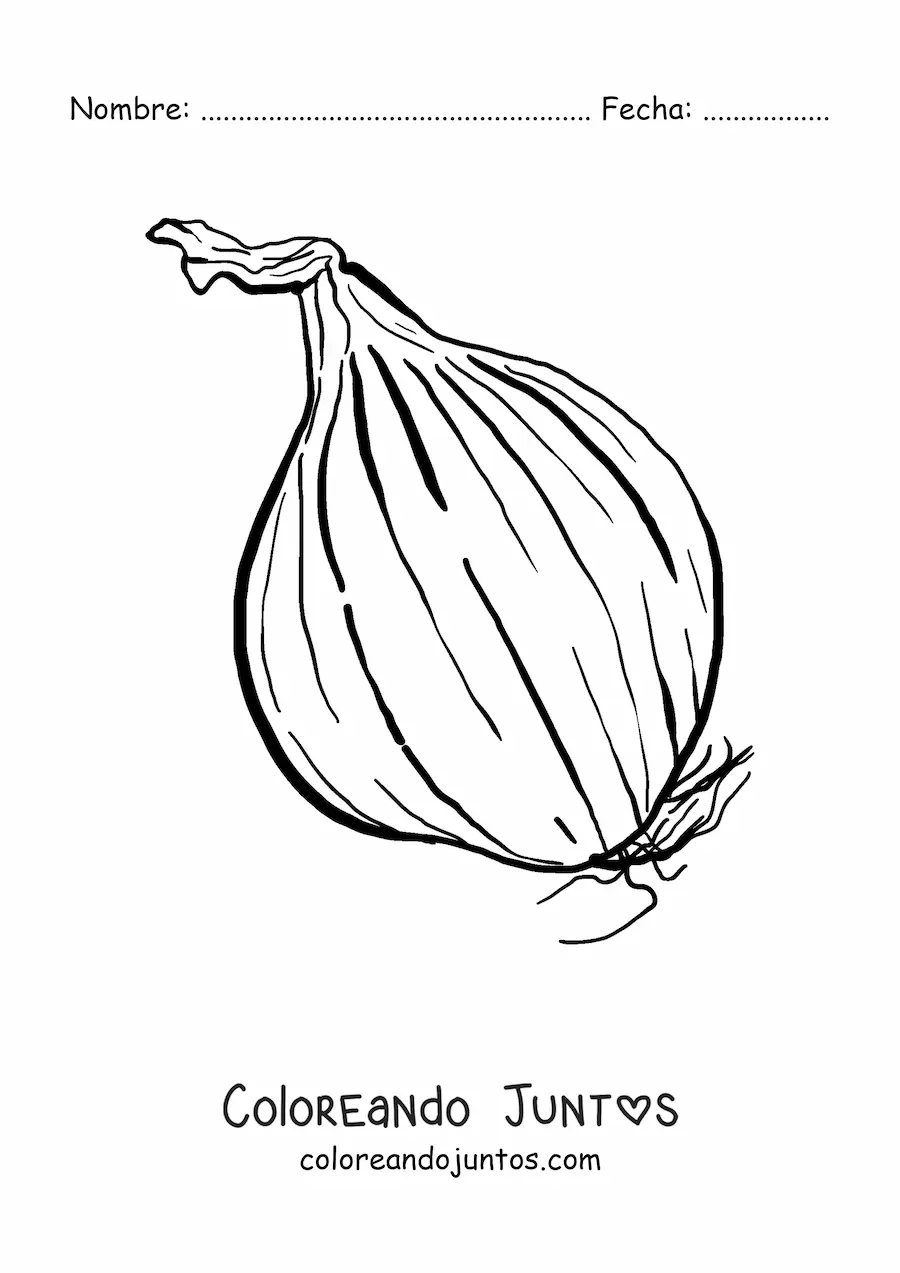 Imagen para colorear de una cebolla grande