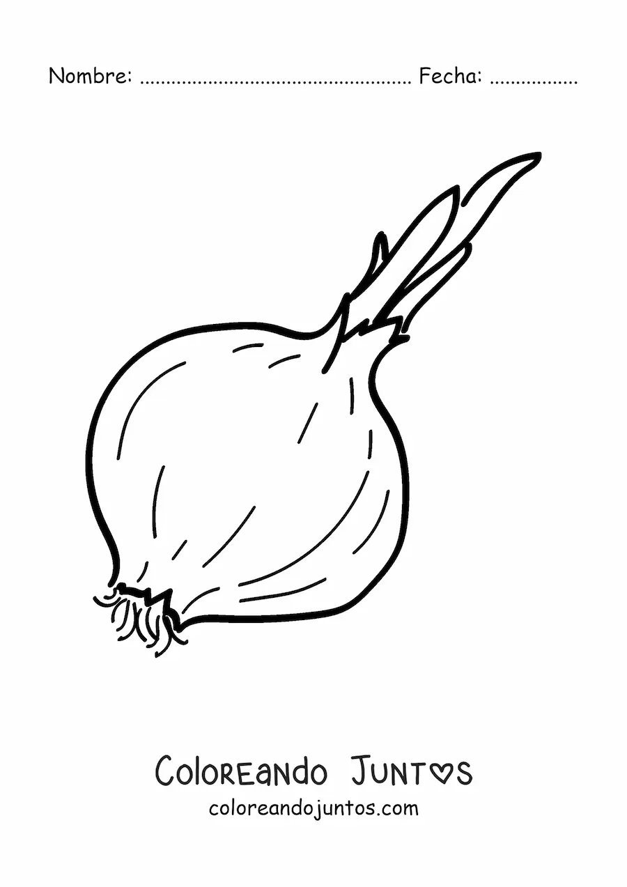 Imagen para colorear de una cebolla paiteña