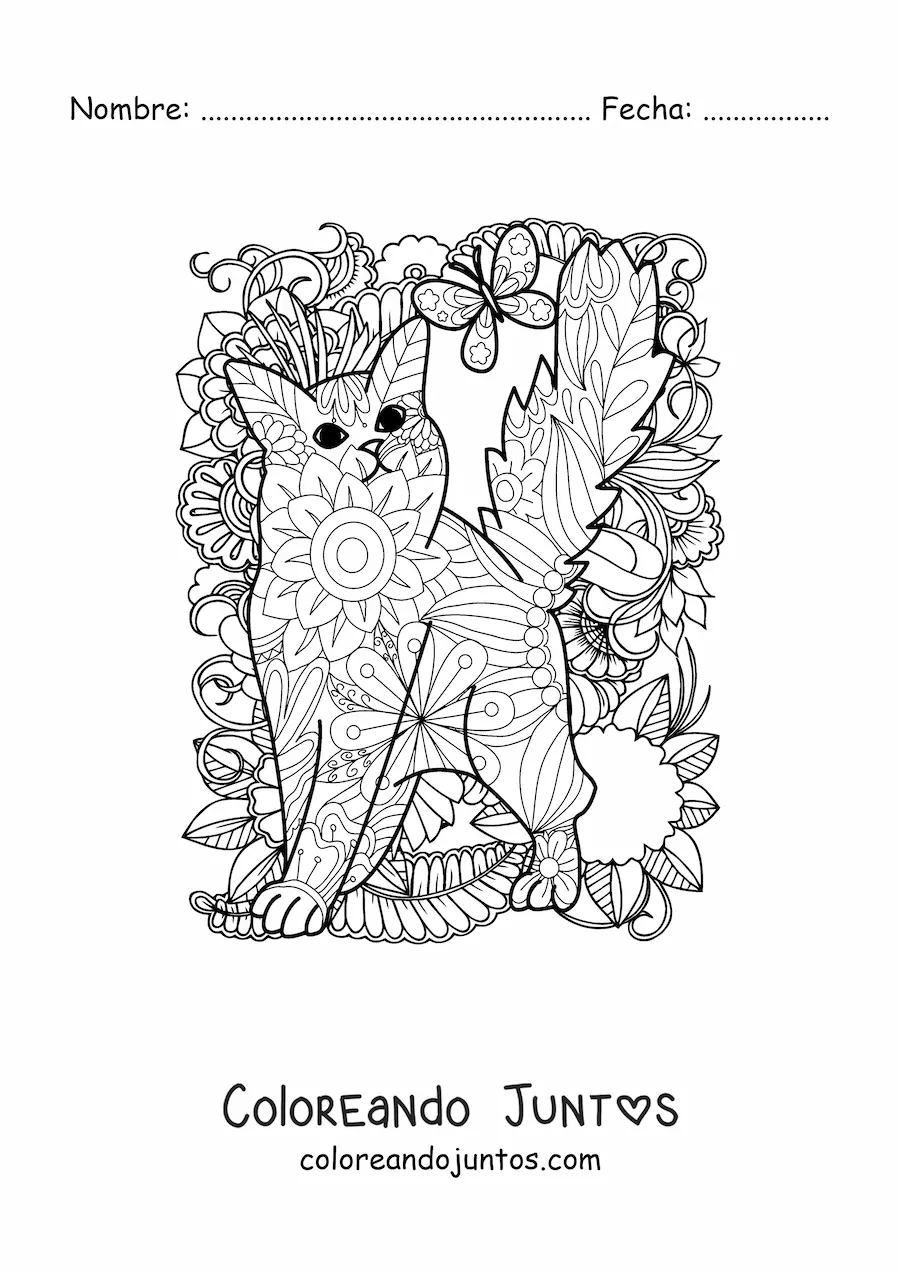 Imagen para colorear de un mandala de gato