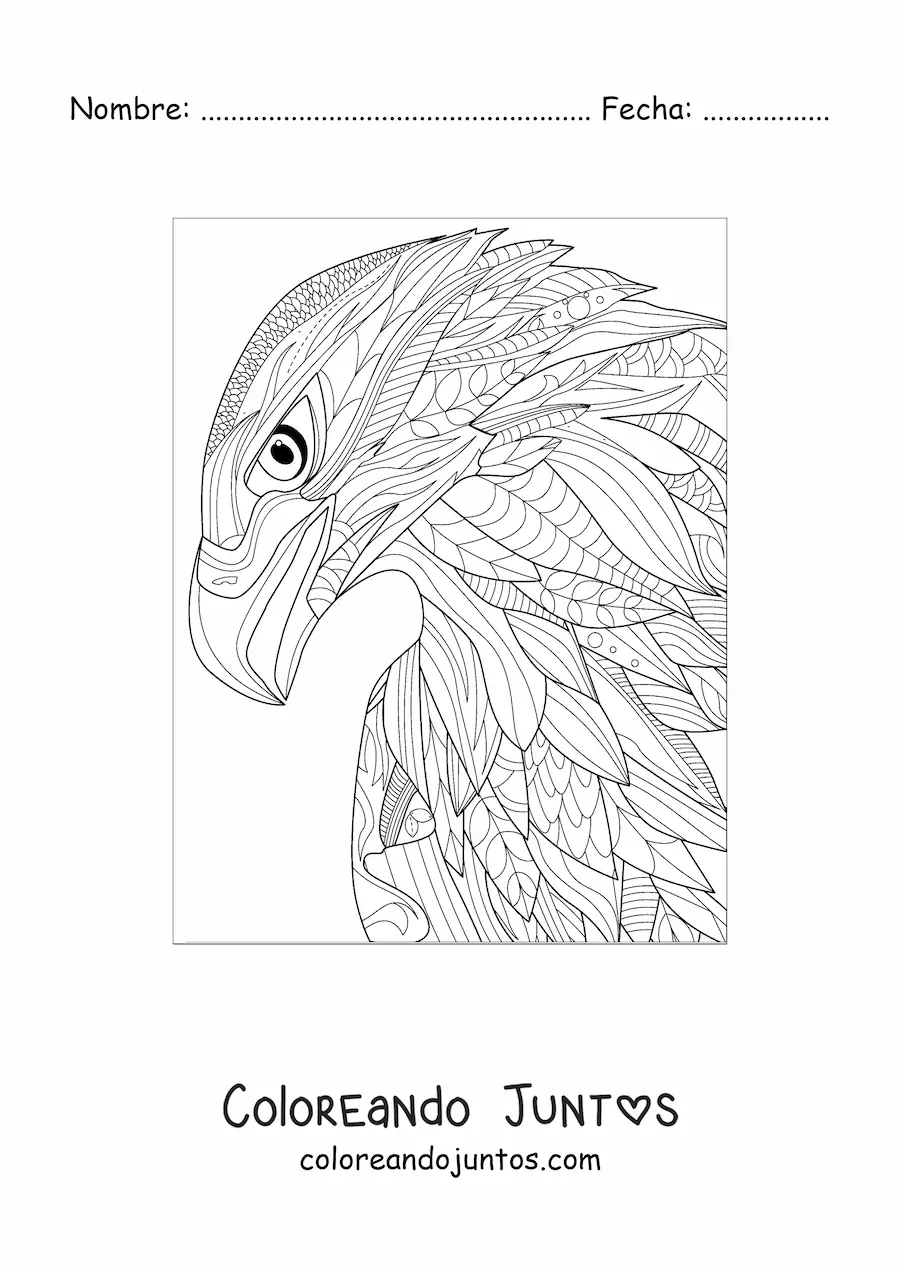 Imagen para colorear de un mandala de halcón