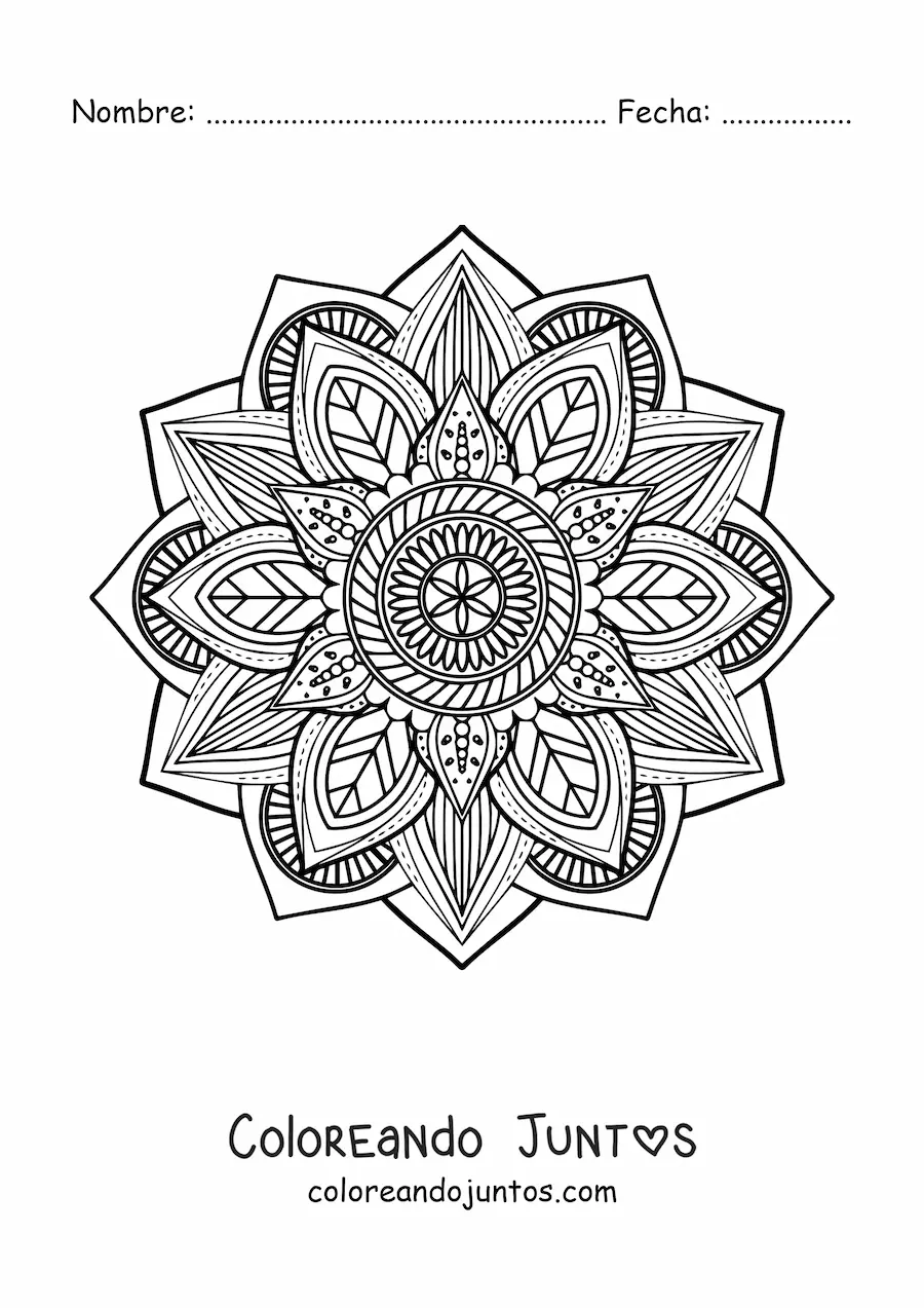 Imagen para colorear de un mandala difícil de la naturaleza