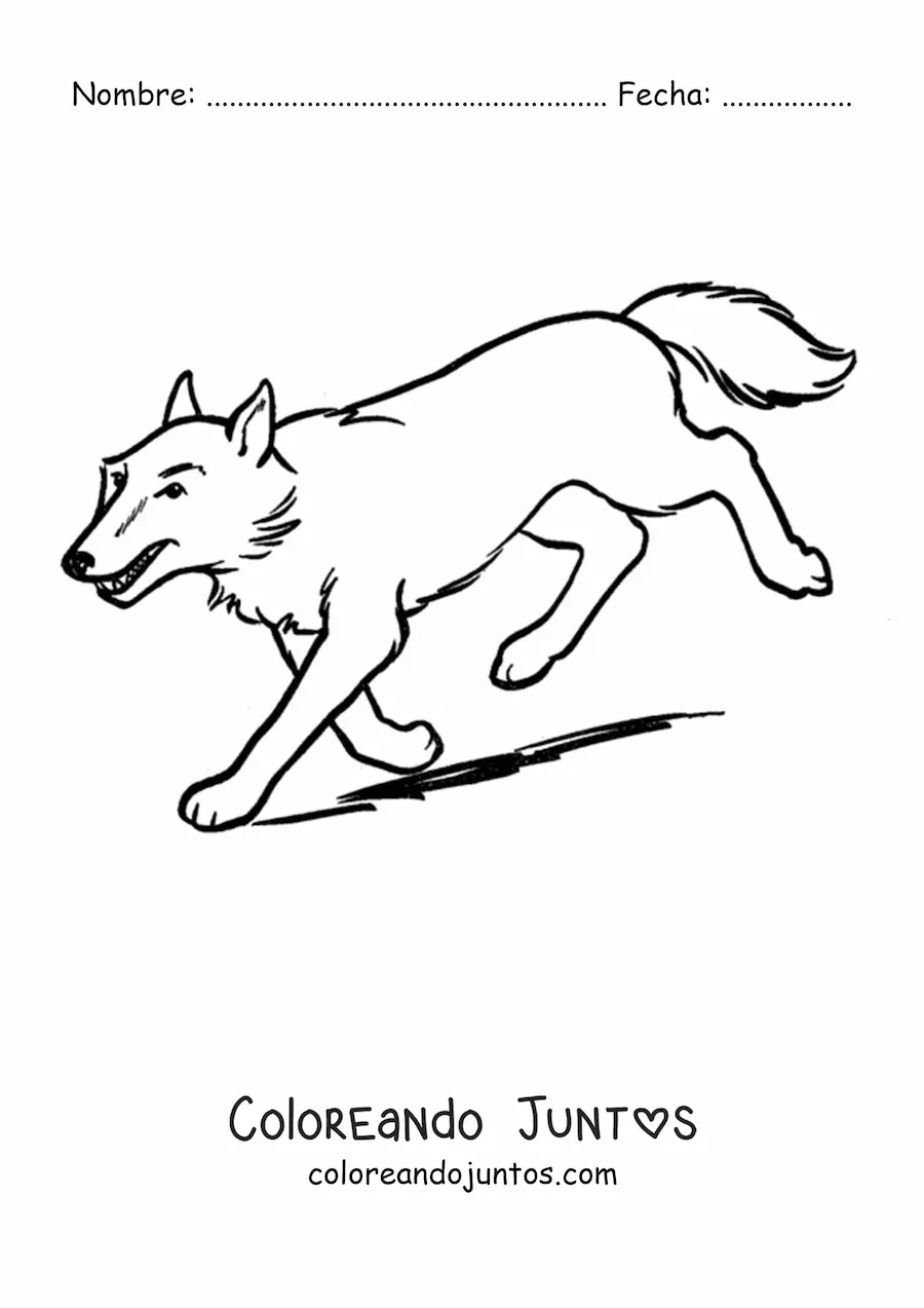 Imagen para colorear de un lobo corriendo hacia abajo por una pendiente