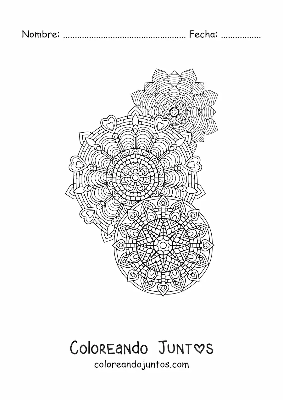 Imagen para colorear de un mandalas estilo Zentangle