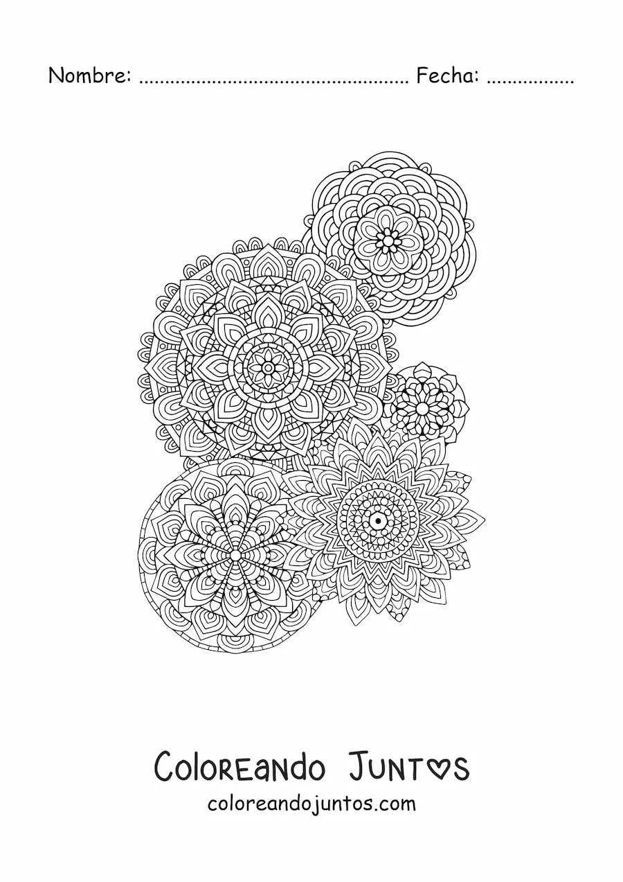Imagen para colorear de un mandalas estilo Zentangle