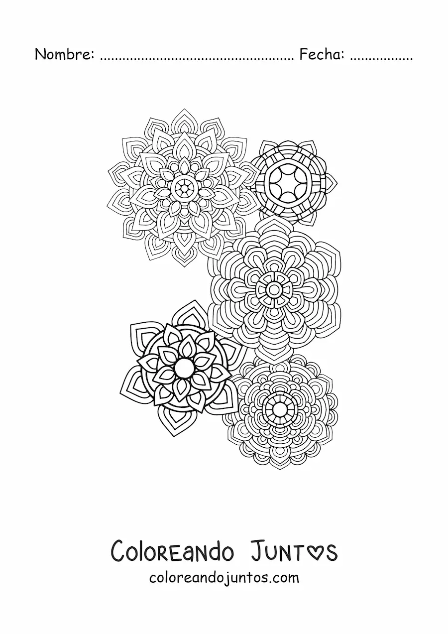 Imagen para colorear de un mandalas estilo Zentangle