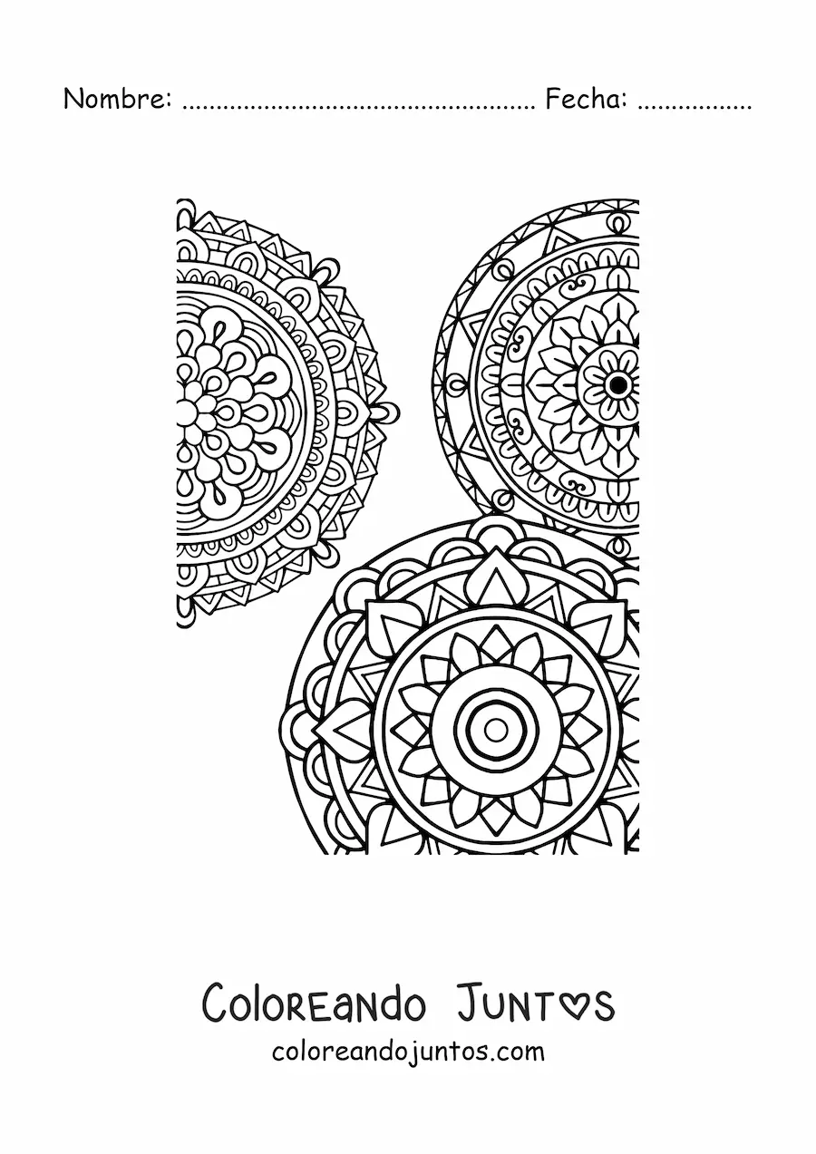 Imagen para colorear de un mandalas estilo Zentangle