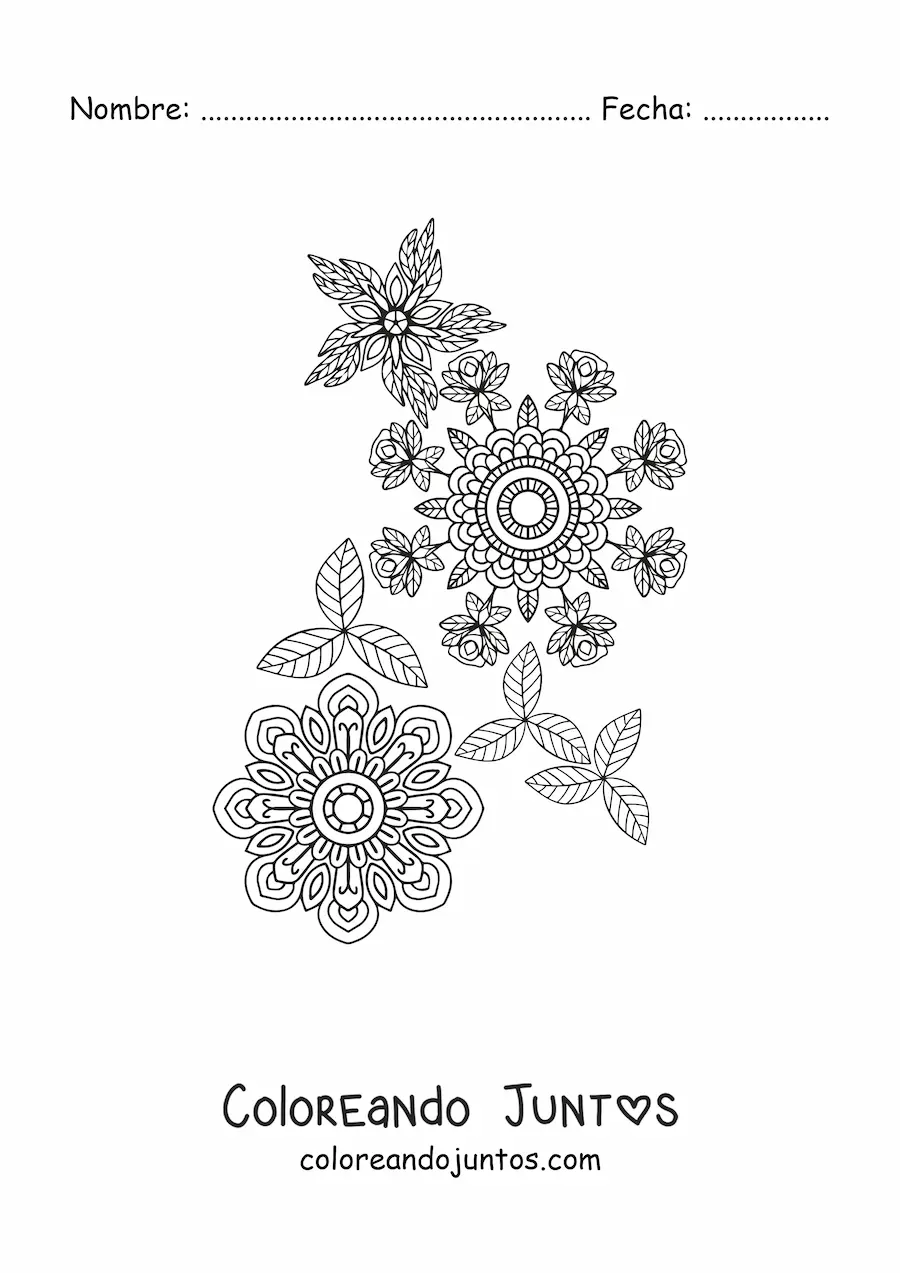 Imagen para colorear de flores mandala