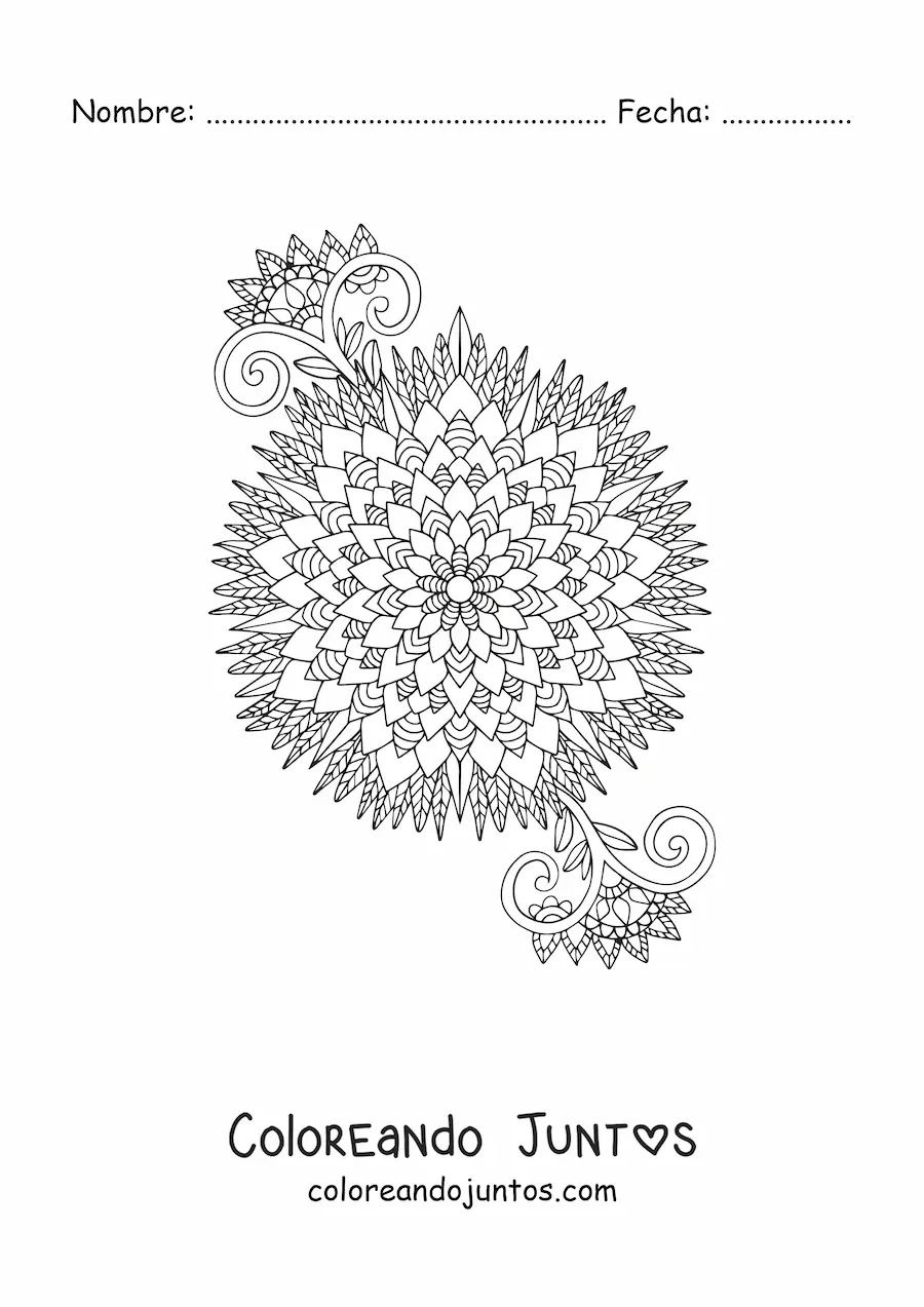Imagen para colorear de flor mandala