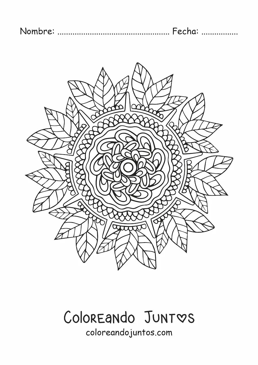 Imagen para colorear de un mandala floral
