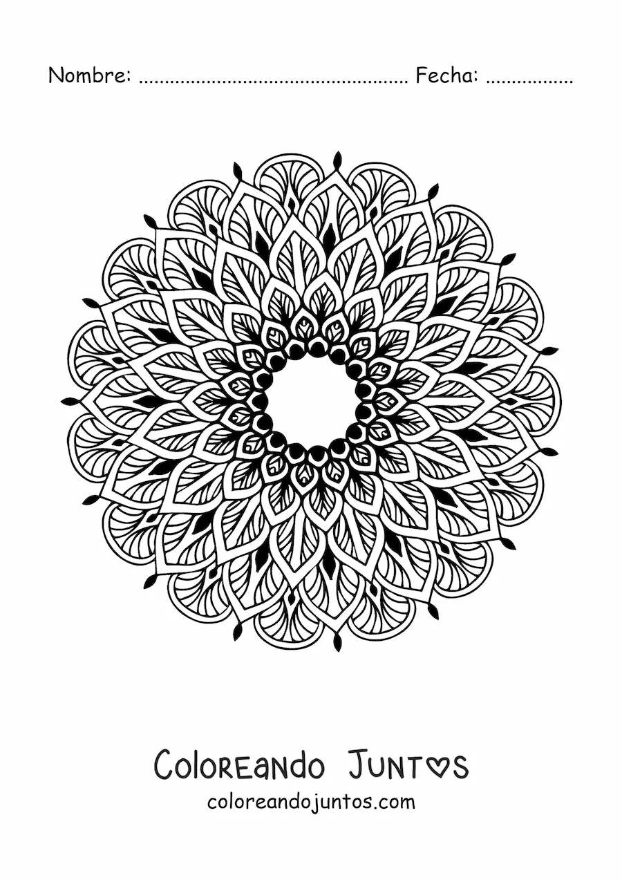 Imagen para colorear de un mandala floral