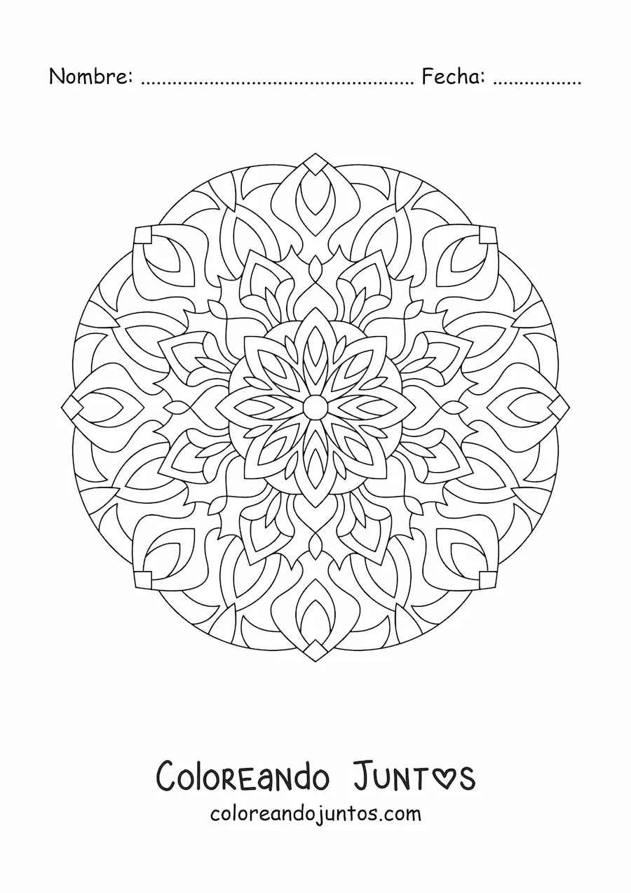 Imagen para colorear de mandala para adultos mayores