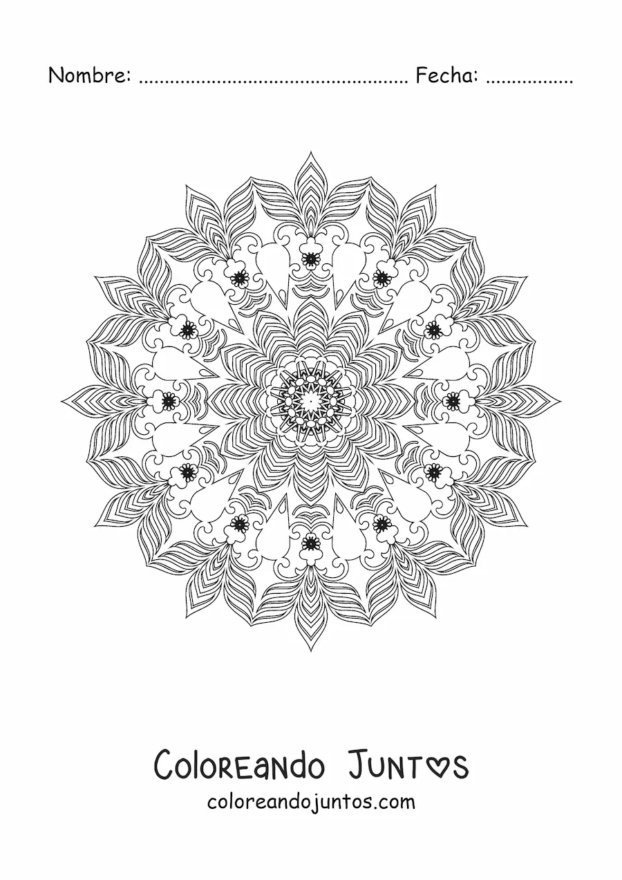 Imagen para colorear de mandala relajante para adultos