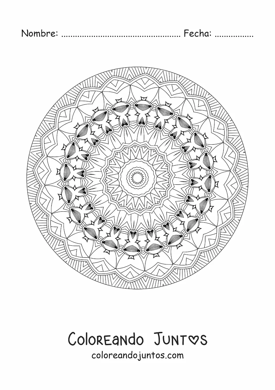 Imagen para colorear de mandala relajante para adultos