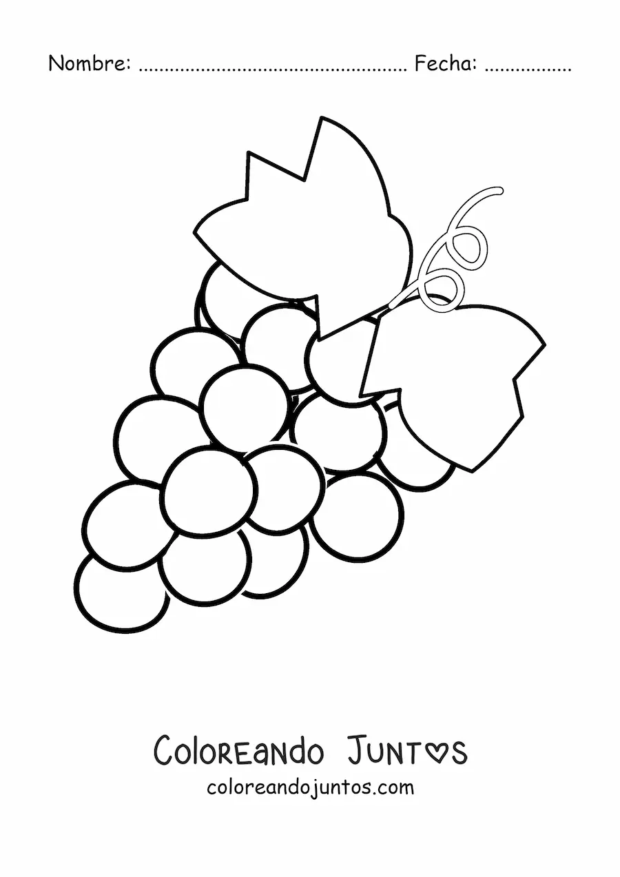 Imagen para colorear de un racimo de uvas con dos hojas