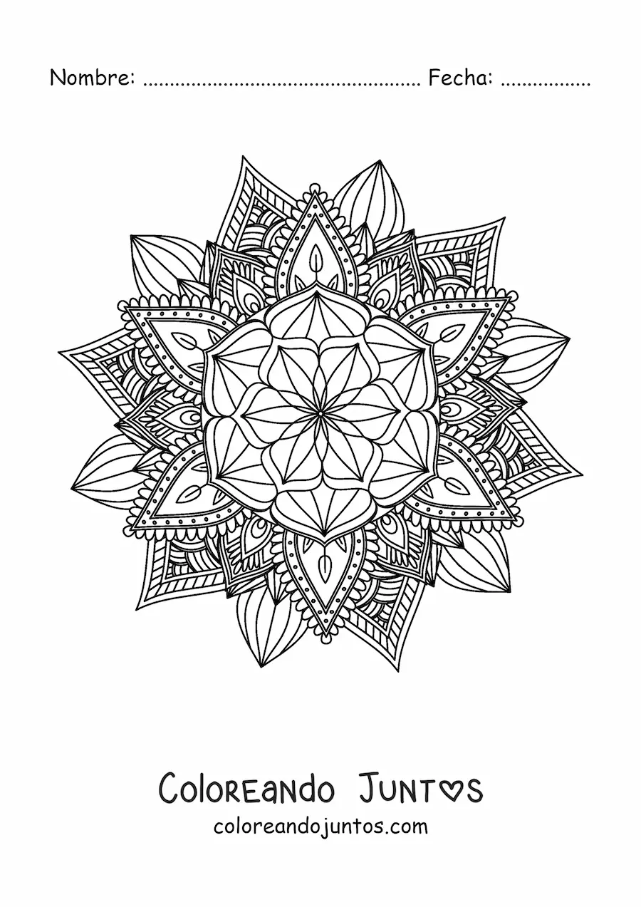 Imagen para colorear de mandala budista para meditar