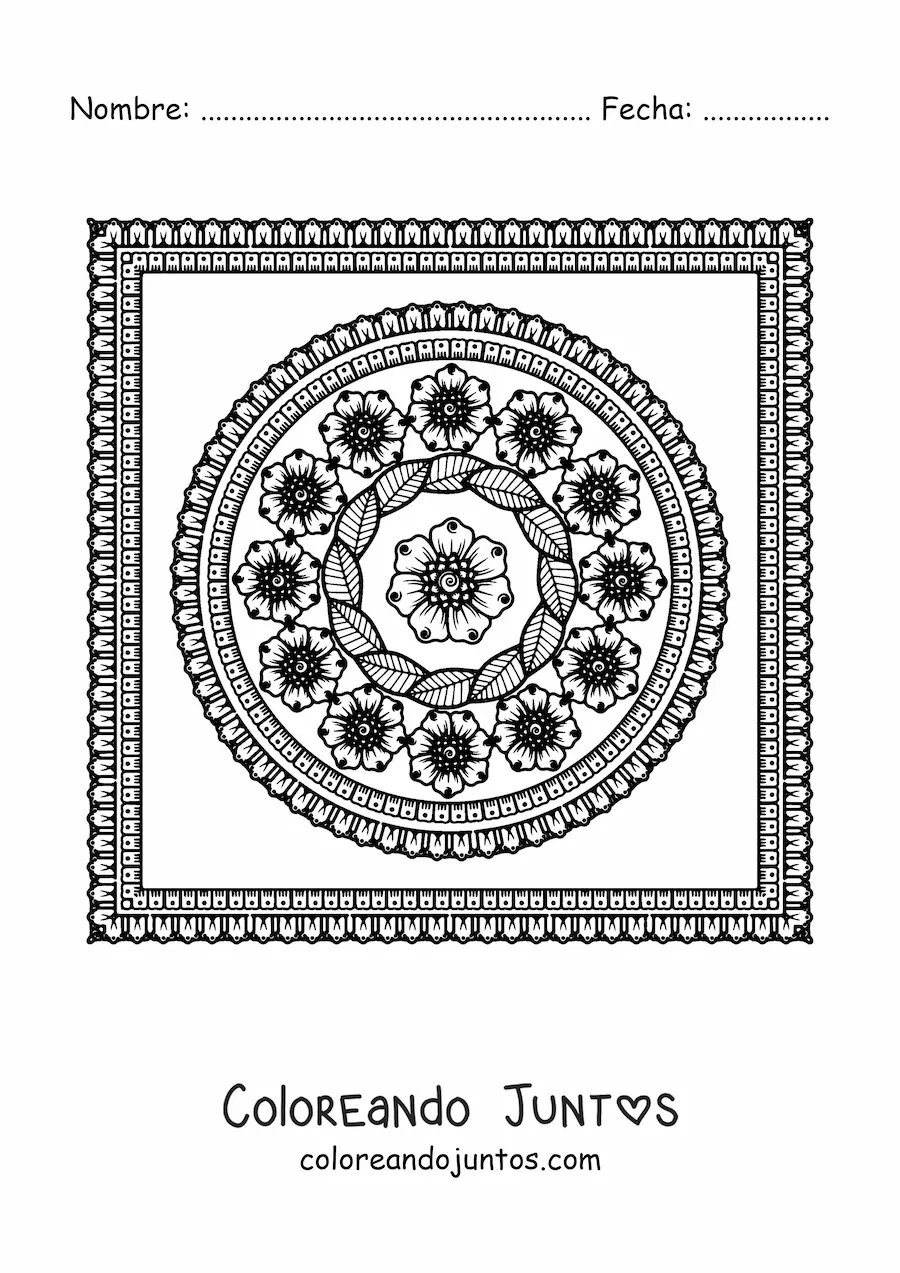 Imagen para colorear de mandala cuadrada floral