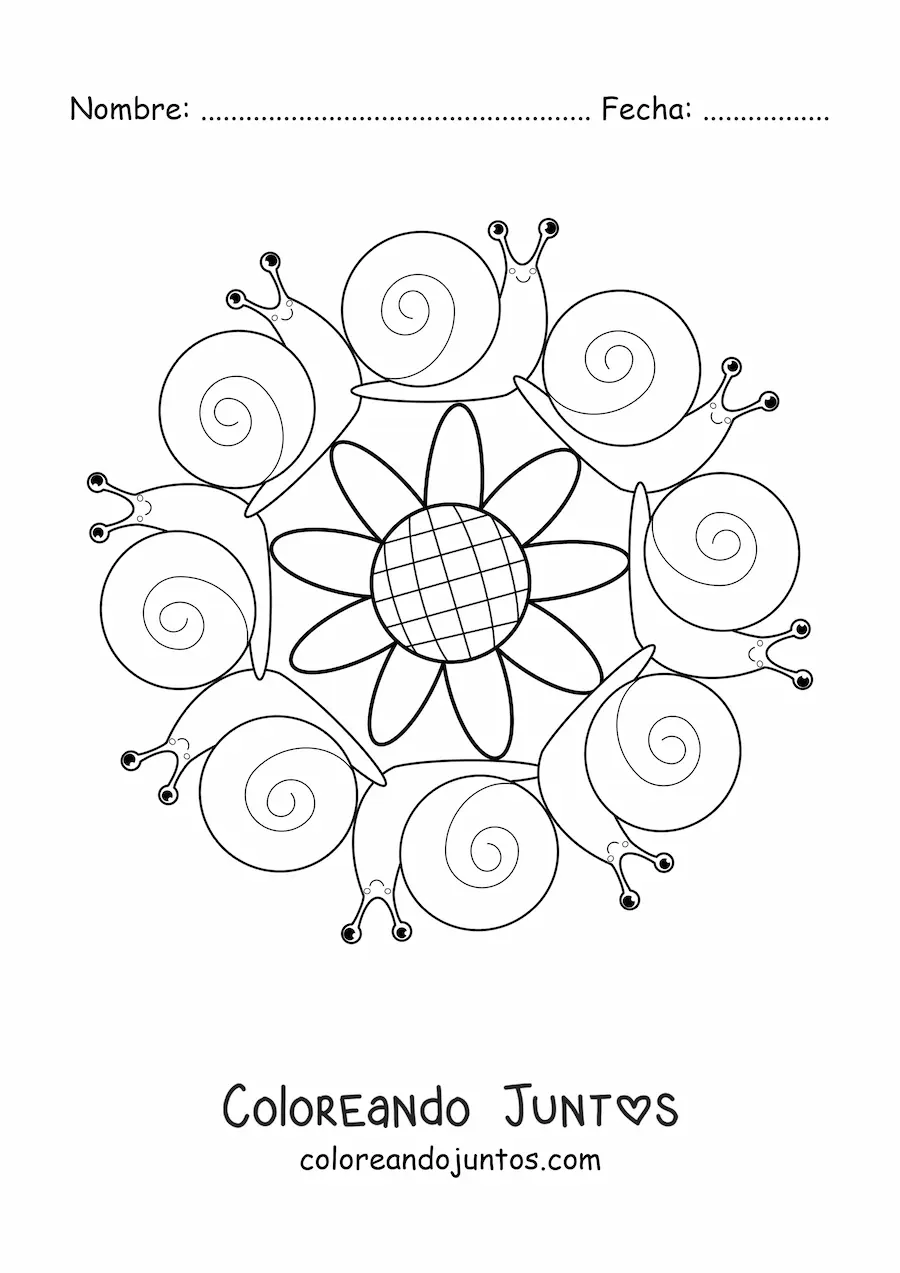 Imagen para colorear de mandala kawaii de caracoles y una flor