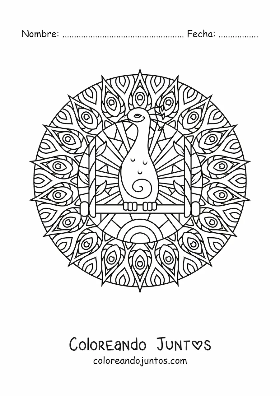 Imagen para colorear de mandala de pavo real